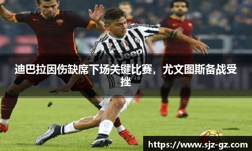 三亿体育官网