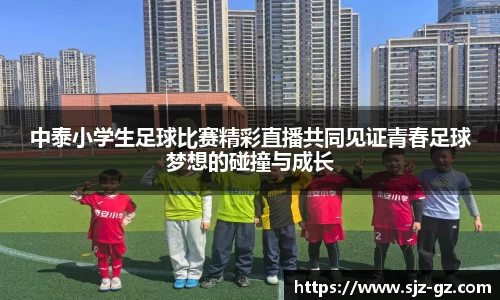 三亿体育官网